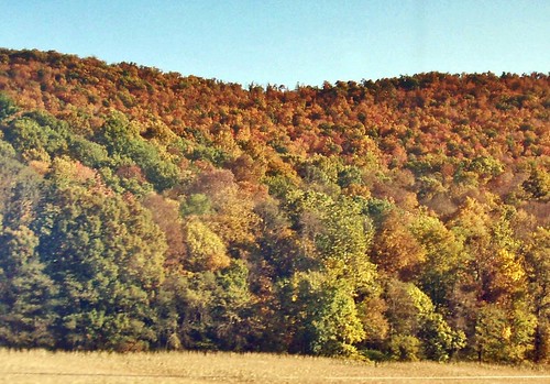 fall pennsylvania rivers amtrakviews