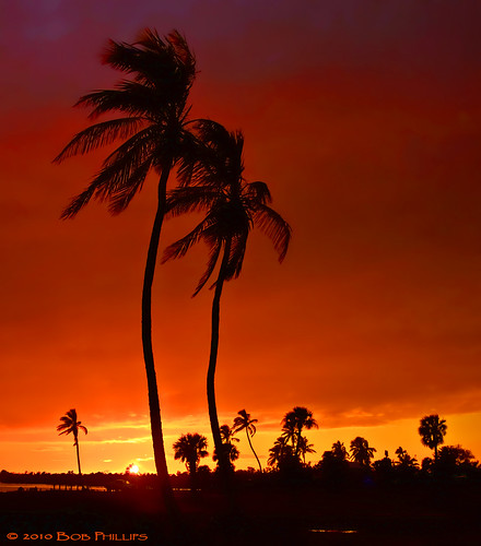 sunset palms florida palmtrees pineisland bokeelia bocilla