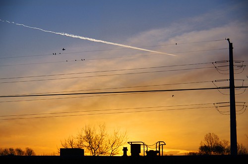 morning birds sunrise early contrail powerlines madison railwaycartop