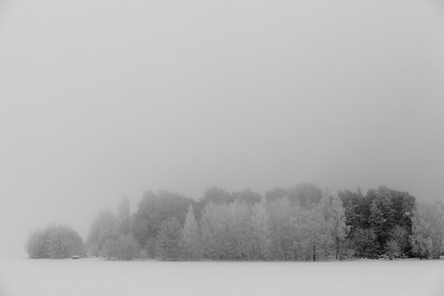 winter mist snow sweden gamlauppsala canonef85mmf18usm canoneos5dmarkii