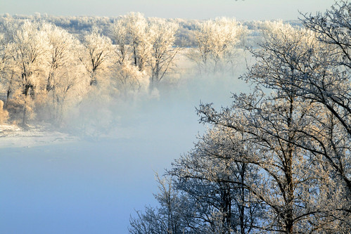 morning trees winter cold ice fog sunrise river dawn frost hoarfrost rivers iced icy brrr missouririver boonville