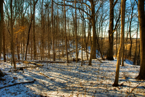 winter shadow ontario forest geocaching hiking trail googleearth hdr brantford orton volume4 diamondclassphotographer flickrdiamond 93793499n00