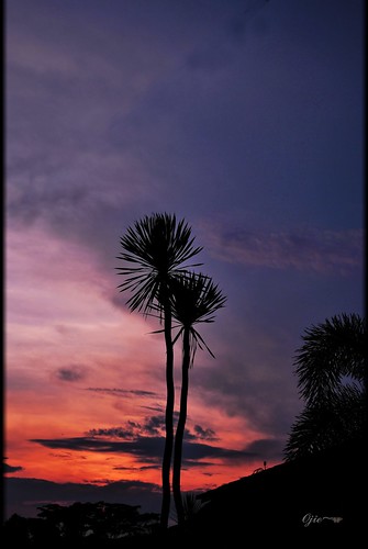 blue sunset orange tree home gombak senja bukit petang jiran mywinners ojie flickraward jalanberlian