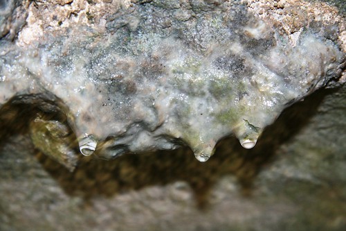 geocaching missouri 365 stalagtites springfieldmo project365 earthcache giboneycave gc1v230