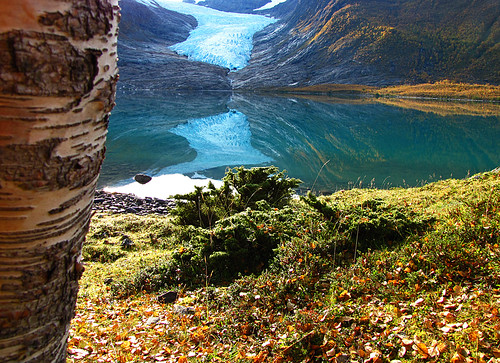 norway landscape geotagged scenic glacier fjord holand hurtigruten helgeland svartisen glaciertongue glaciersnout nordlandfylke engabreen holandsfjord scenicsnotjustlandscapes geo:lat=6670314710 geo:lon=1373733034