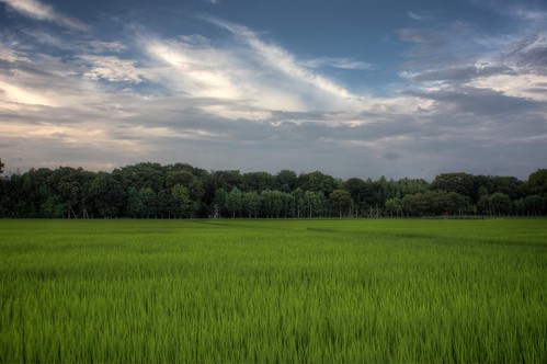 green japan clouds day cloudy ricefield okazaki hdr