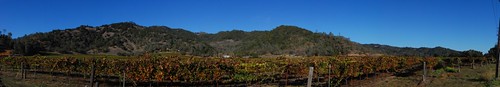 california usa calistoga winery howellmountain