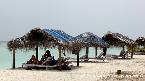 Huts on the Kadmat Beach