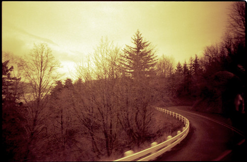road trees blur bus film window 35mm view pentax columbia gorge mesuper redscale