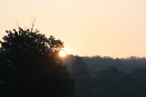 sunrise dawn quebec forestfire