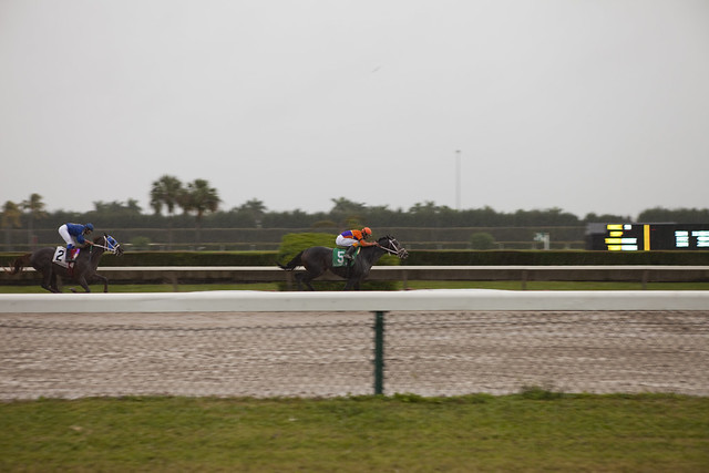 Miami Horse Racing Tracks