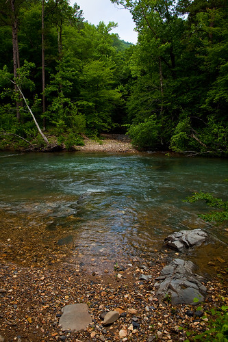 road trees summer mountain tree water forest canon river eos woods ar nationalforest twig arkansas onf ouachitanationalforest albertpike littlemissouririver canoneos5dmarkii 5dmarkii