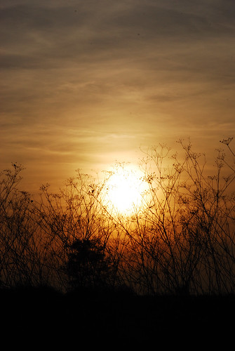 sunset naplemente kistarcsa