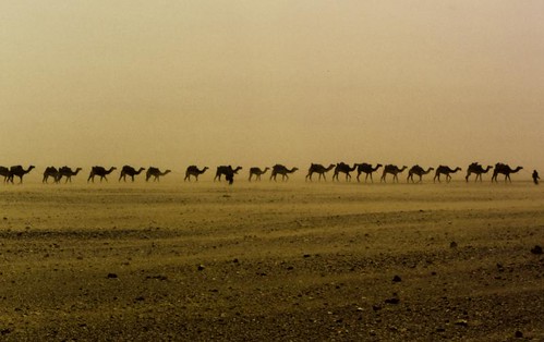 africa sahara niger vent sand desert wind dune sable touareg afrique sahel caravane tenere the4elements