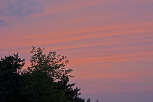 pink blue trees sunset clouds southkorea pohang mujuk