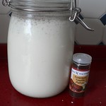Vanille-Joghurt