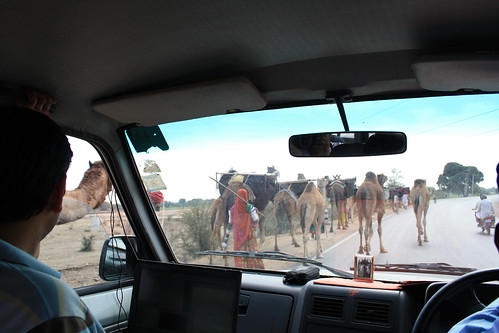 india highway camel rajasthan chittorgarh windscreenview