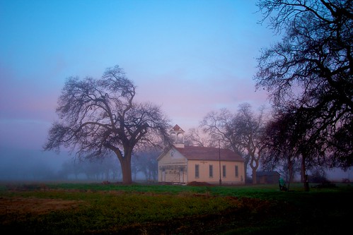 trees fog landscape oak schoolhouse capayvalley