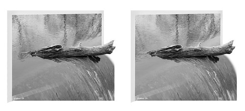 blackandwhite bw lake nature water photoshop outside outdoors effects stereoscopic 3d crosseye log md brian maryland manipulation monotone ps falls stereo wallace stereopair grayscale spill fx sidebyside sfx outofbounds stereoscopy oof oob stereographic debri freeview crossview outofframe wyemills brianwallace xview stereoimage outofborder xeye stereopicture