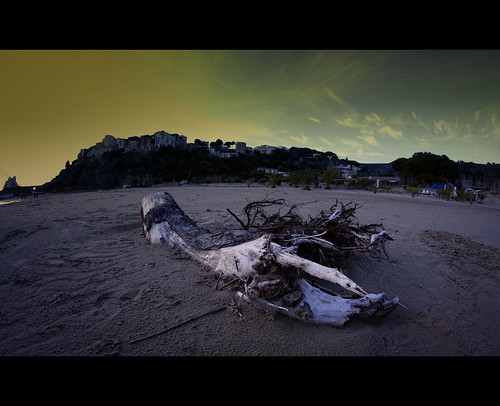 sea italy beach italia mare 5 fisheye trunk f3 latina 8mm tronco spiaggia lazio sperlonga pulpul samyang spiaggiato rivieradulisse vincenzopapa