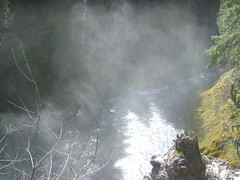 Mist from the falls