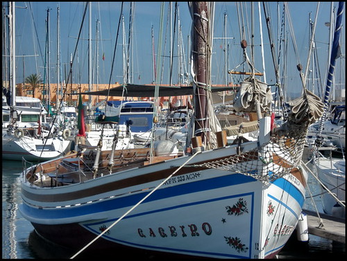 city portugal rio marina faro coast europe barcos estuary beaches algarve formula1 sul praias portimão arade abigfave motonáutica