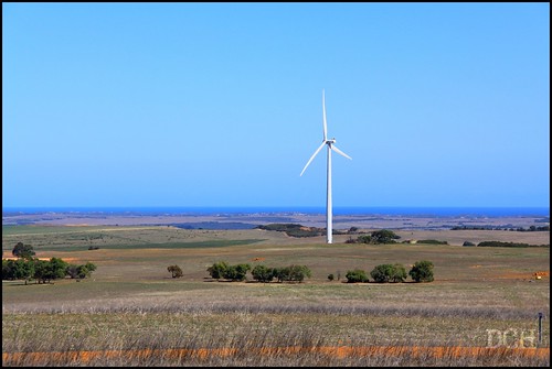 ocean seascape rural landscape countryside indianocean australia westernaustralia windturbine windfarm windpower renewableenergy walkaway mynewcamera vestas alinta