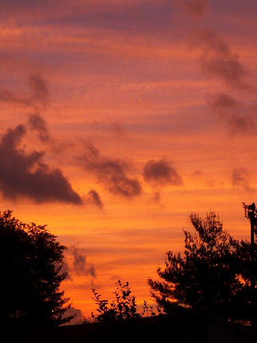 sunset ohio sky tree night clouds kodak easysharez915