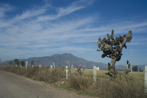 people landscape mexico driving cityscape jalisco driveby tequila shootingfromamovingcar rutadeltequila