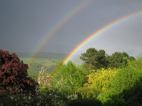 utley rainbows