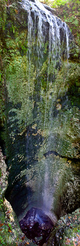 waterfall florida panhandle fallingwatersstatepark