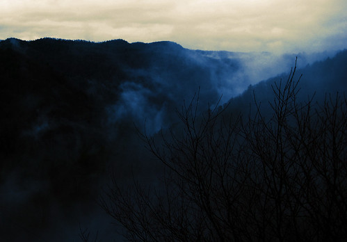 trees mountains fog wv westvirginia picnik pipestem