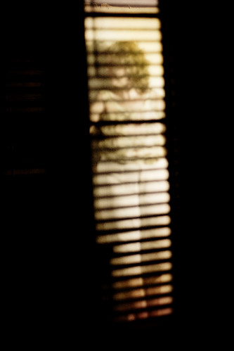 california portrait texture canon20d duotone countingcrows unicum autobiographical cbar augustandeverythingafter raininginbaltimore flickrunitedaward royalgr☮up überportraits
