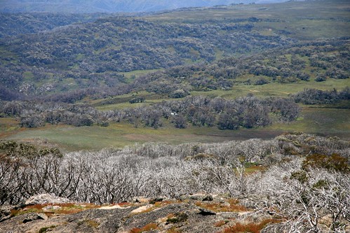mountains geotagged australia victoria mountainhut greatdividingrange victorianalps bogonghighplains australianalps copehut mtcope