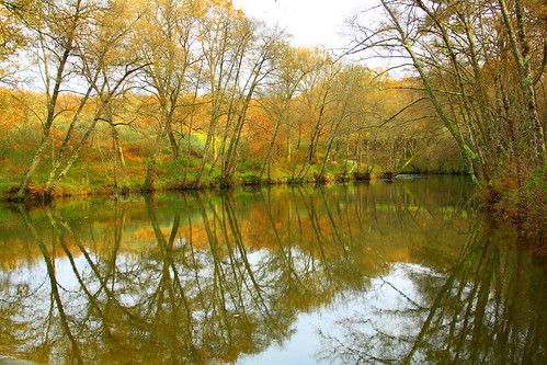 wood españa color colour tree rio reflections river arbol galicia bosque reflejos ourense xunqueira