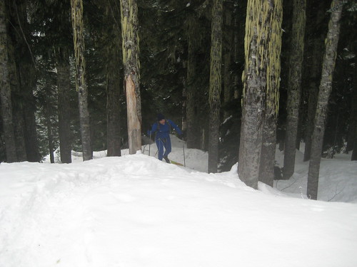 winter, fun, snow, cold, snowshoeing, skiin… IMG_2283