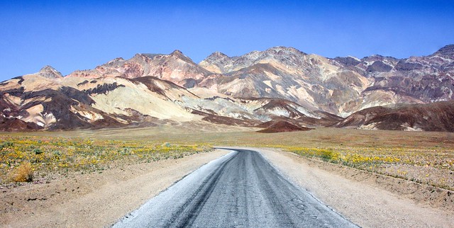Death Valley ~ Alive!