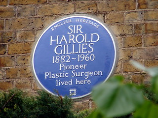 Sir Harold Gillies