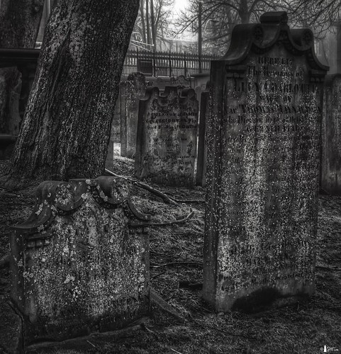 trees bw canada cemetery graveyard grass novascotia headstones nikond70s halifax tombstones cs3 photomatix hdr3ex niksfilters theoldburialgrounds