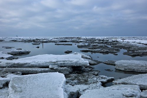 winter germany northsea nordsee m9 niedersachsen treibeis packeis spieka spiekaneufeld coastalseaice