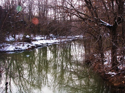 travel trees usa snow reflection nature water canon landscapes daylight scenery view state south country peaceful powershot hills daytime arkansas tranquil ozark sx10is waltphotos