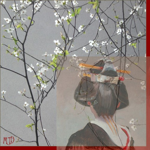 mtd collage japan joshua geisha marzo rami photoscape maryateresa collagephotoscape ramifioriti