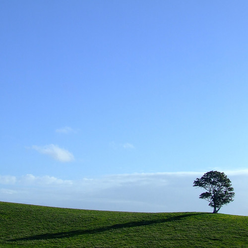 blue shadow cloud white tree green field grass silhouette clouds composition rural gum square landscape countryside spring afternoon farm daniel south horizon country hill farming rustic australia farmland minimal line hills ranges adelaide lonely sa idyll pastoral solitary minimalist cloudscape lonelytree paddock bugle wistow adelaidehills tindale hillline bugleranges danieltindale
