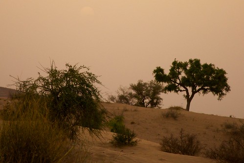 india landscape desert rajasthan thardesert osiyan