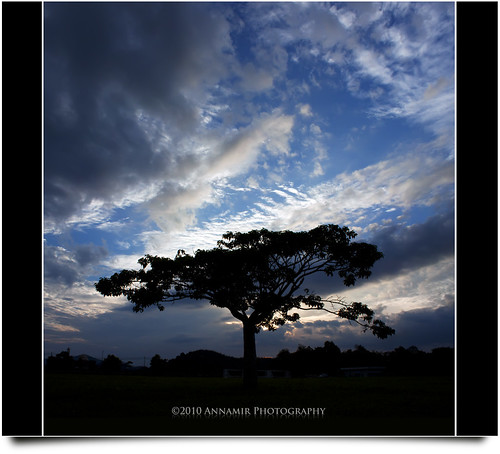 sunset silhouette clouds canon eos stitch dramatic kitlens malaysia handheld silueta awan siluet merge pokok 500d dramaticcloud verto kkb vertorama treesdiestandingup annamir getokubicom tamanmillennium awanan