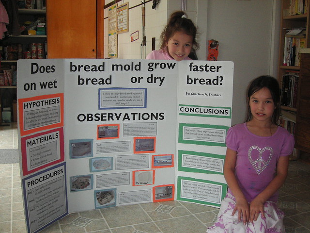 Charlie's 4th Grade Science Project
