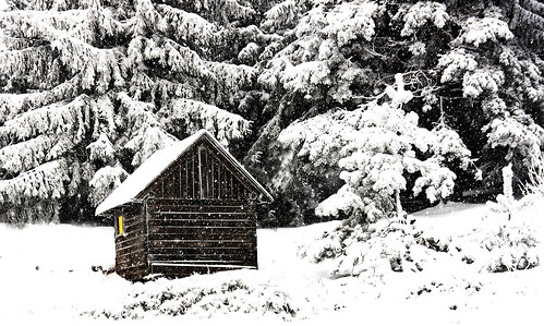 wood winter light snow cold nature yellow germany geotagged bavaria warm europe sony hut alpha 700 coldness warmness tamron1750 geo:lat=49057528 geo:lon=13125715