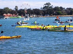 Yellow Duck Race