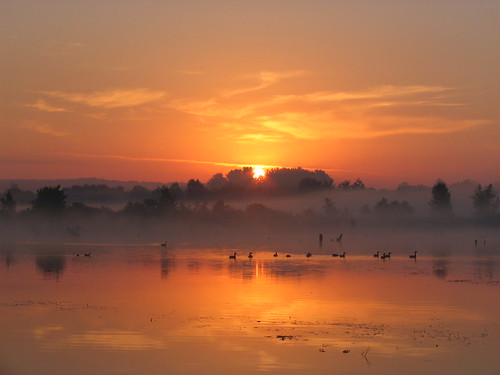 morning sunrise pond ducks