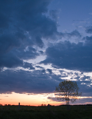 sunset tree weather clouds canon dark geotagged dusk ominous hampton xsi 450d giltennant